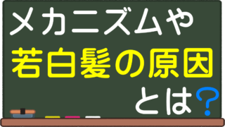 白髪が生える場所ごとの意味とは 体の不調サイン 前髪に固まって生える理由や特徴