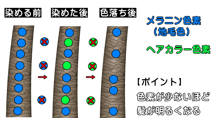 ヘアカラー後に色落ちして明るくなる理由とは だんだんに ブリーチなしでも徐々に